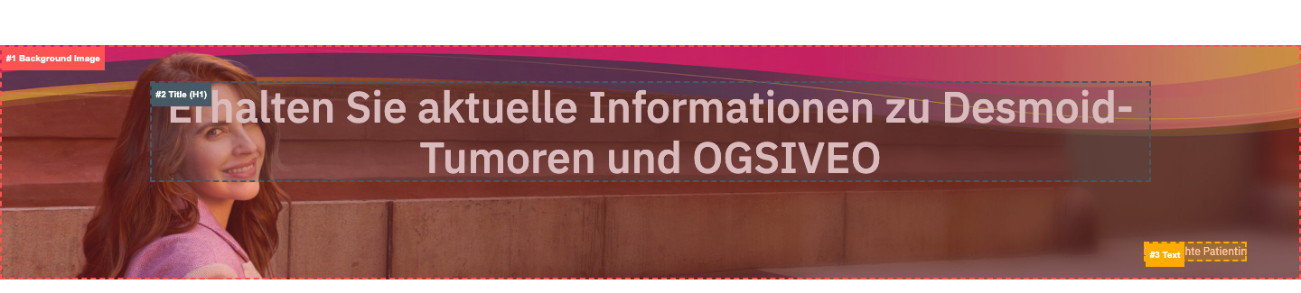 hero-section anatomy