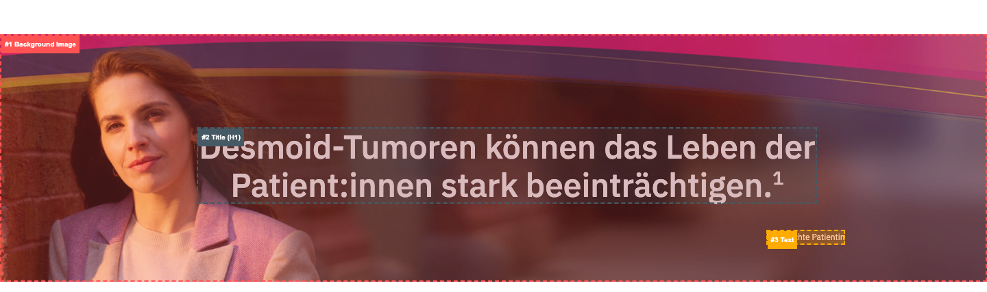 hero-section anatomy