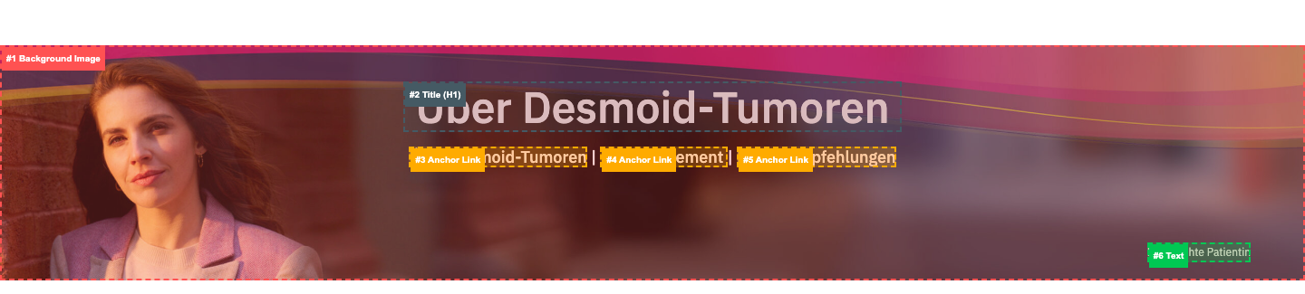 hero-section anatomy