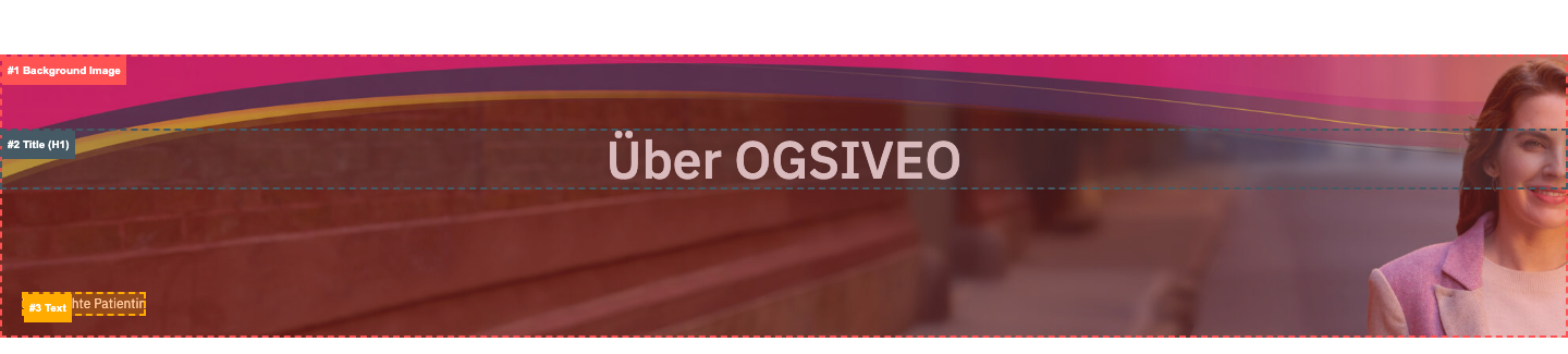 hero-section anatomy